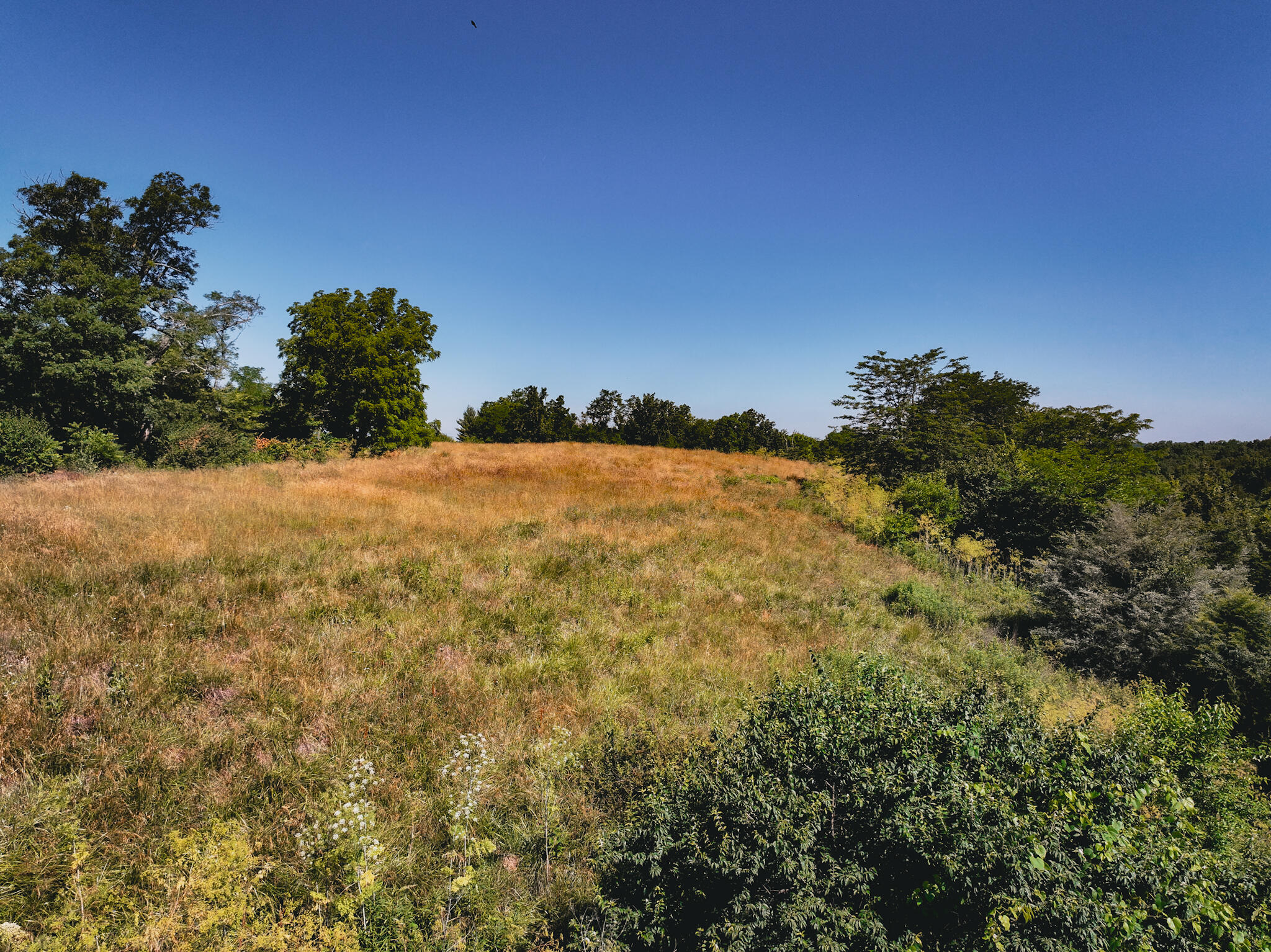 116 Adams Road Williamstown, KY 41097 - Photo 4 of 11 Gallery Image 4