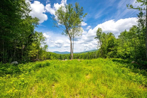 $650,000 | 0 Little Pond Road, Andover, VT 05143