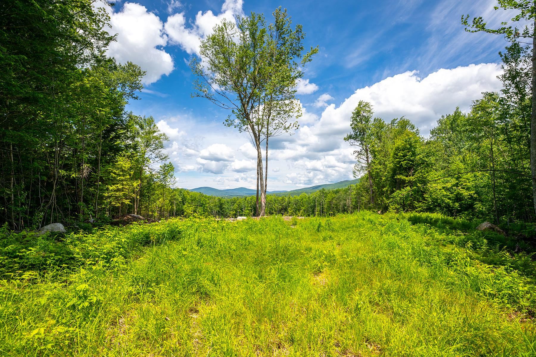 0 Little Pond Road Andover, VT 05143 - Photo 1 of 16