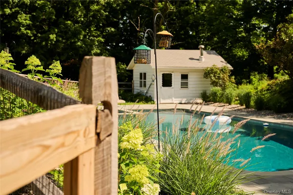 a white water covered with tall trees