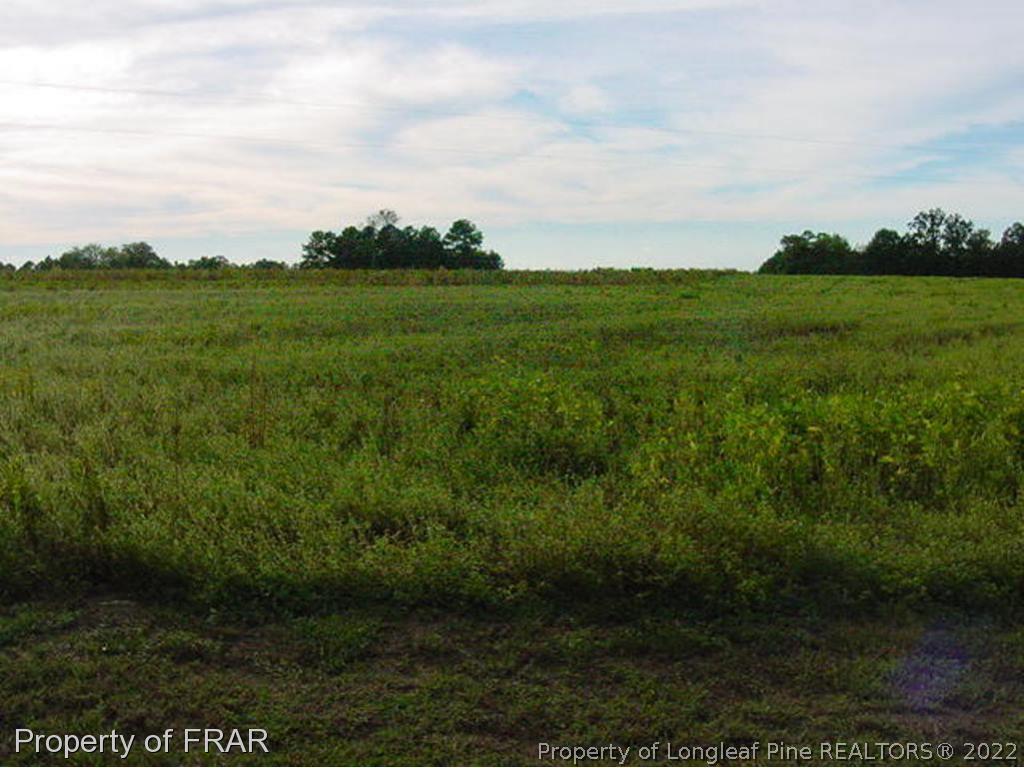 Carson Gregory Coats, NC 27521 - Photo 3 of 3 a view of a field of grass and trees