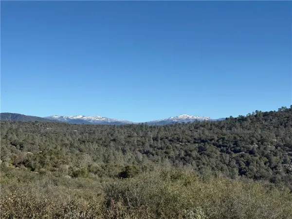 a view of a back yard