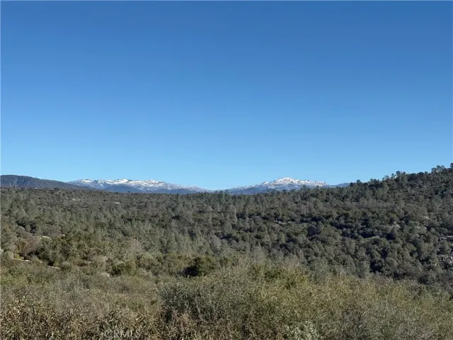 a view of a back yard