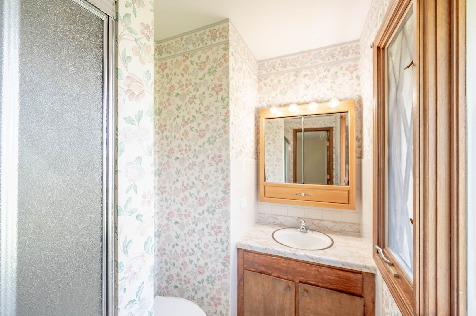 815 Ruth Drive Elgin, IL 60123 - Photo 11 of 20 Gallery Image 11
