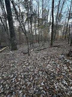 0 River Ridge Trail Sparta, GA 31087 - Photo 3 of 4 a view of a yard with large trees