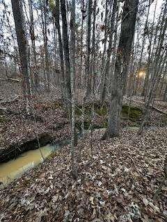 0 River Ridge Trail Sparta, GA 31087 - Photo 4 of 4 a view of a lake with lots of trees