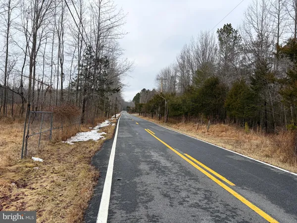 a view of a yard with large trees