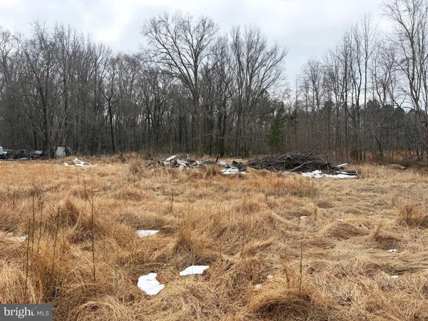 a view of a yard with trees
