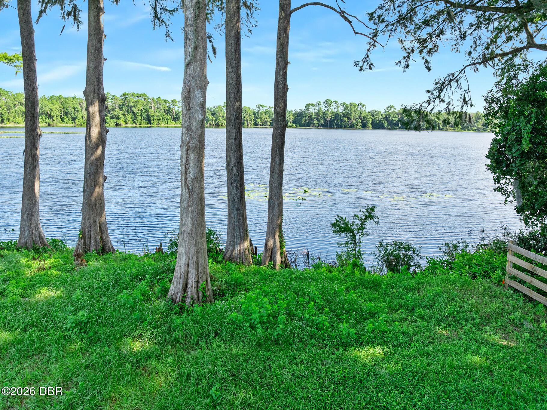 0 Blackburn Road Pierson, FL 32180 - Photo 8 of 14 AEP360-21