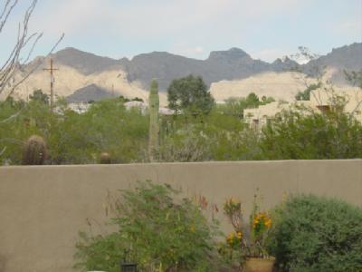 128 West River Road Tucson, AZ 85704 - Photo 5 of 8