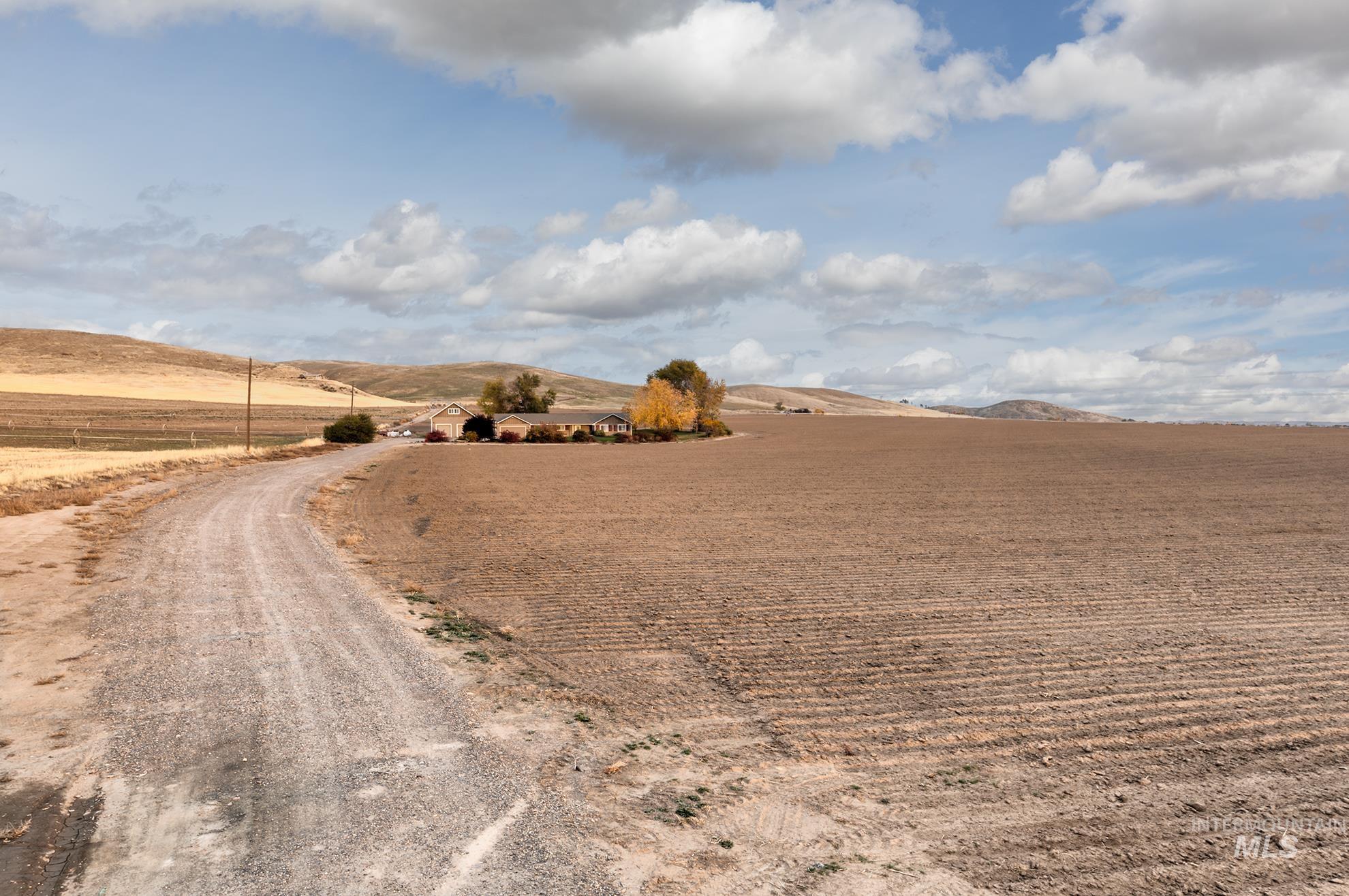 890 Jenkins Creek Road Weiser, ID 83672 - Photo 44 of 45 View of dirt / gravel road with a rural view and a mountain view