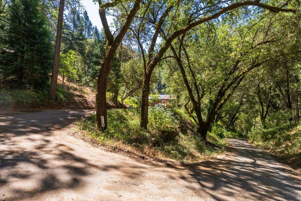 17431 Sutter Creek Road Sutter Creek, CA 95685 - Photo 24 of 26