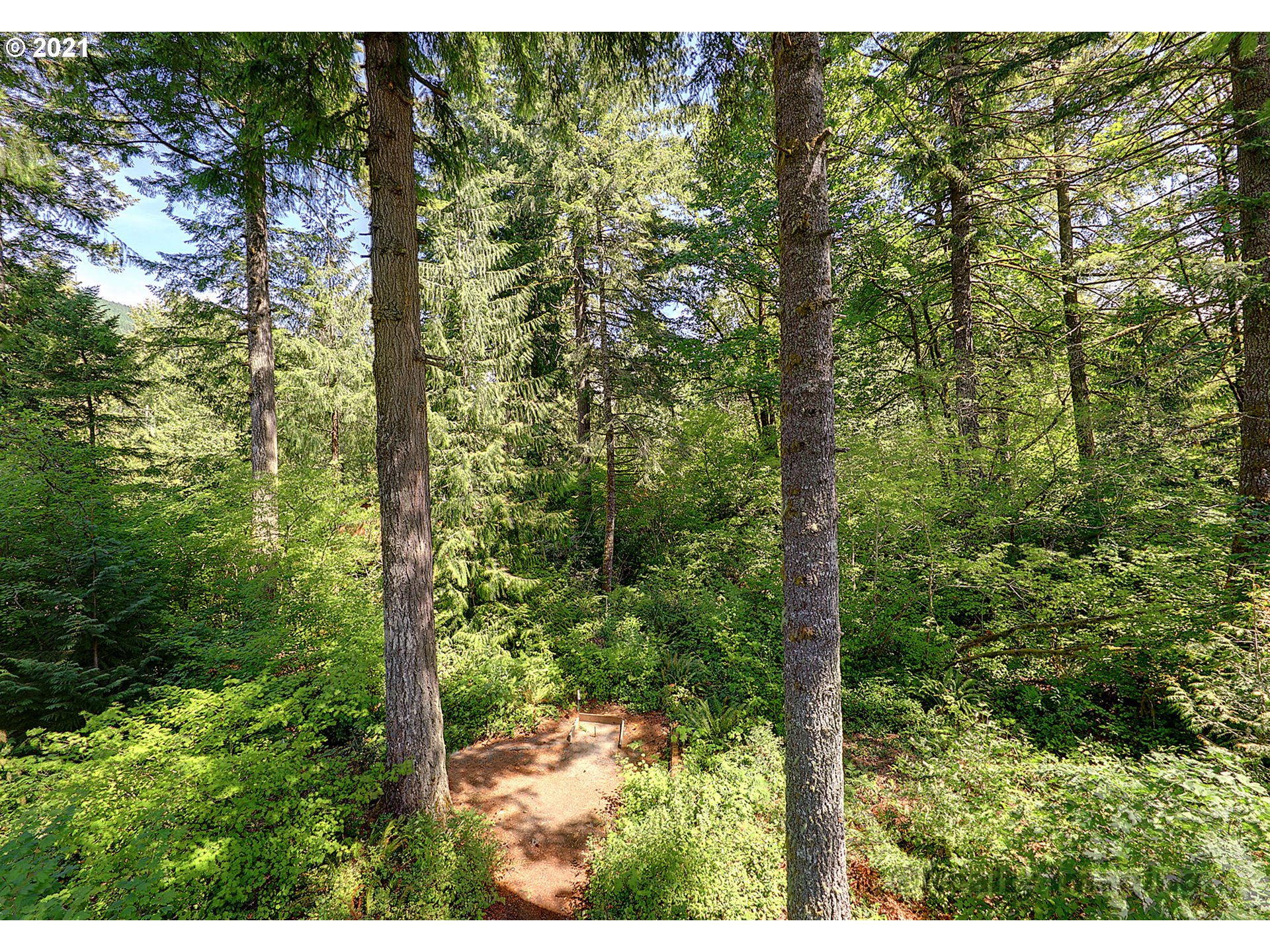 65466 East Sandy River Lane Rhododendron, OR 97049 - Photo 1 of 4