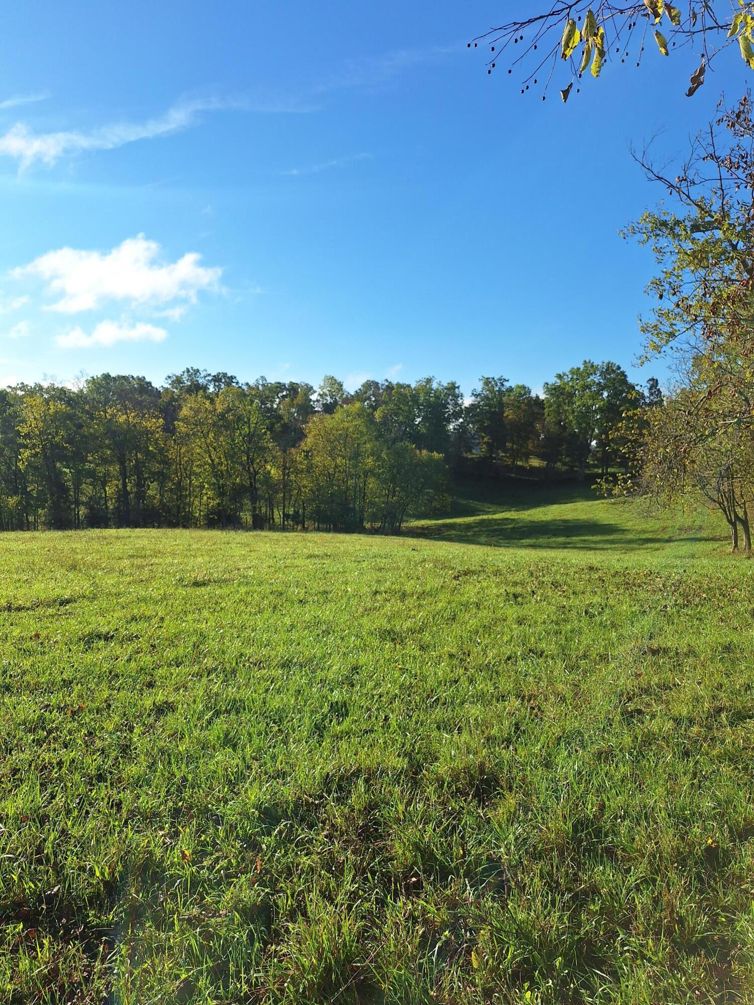0 Casey Mill Road Berry, KY 41003 - Photo 2 of 28 Gallery Image 2