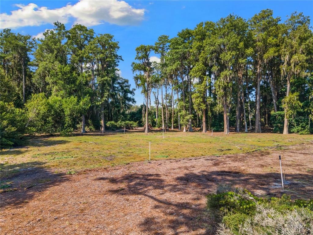 18150 Burrell Road Odessa, FL 33556 - Photo 18 of 18 Gallery Image 18