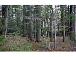 593 Forest Road Wolfeboro, NH 03894 - Photo 4 of 5 Gallery Image 4