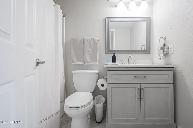 a bathroom with a sink toilet and mirror