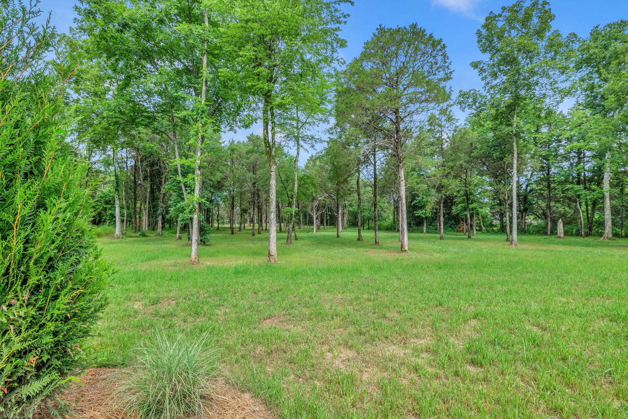 4438 Webb Road Murfreesboro, TN 37128 - Photo 47 of 62 Gallery Image 47