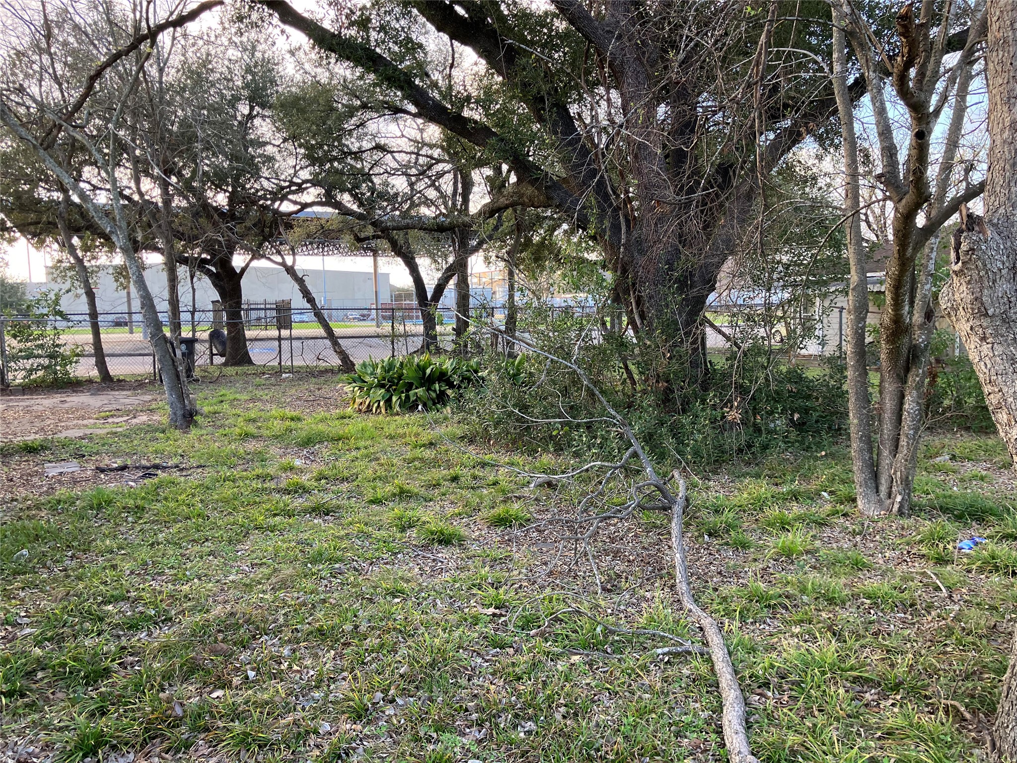 3511 Corder Street Houston, TX 77021 - Photo 5 of 9