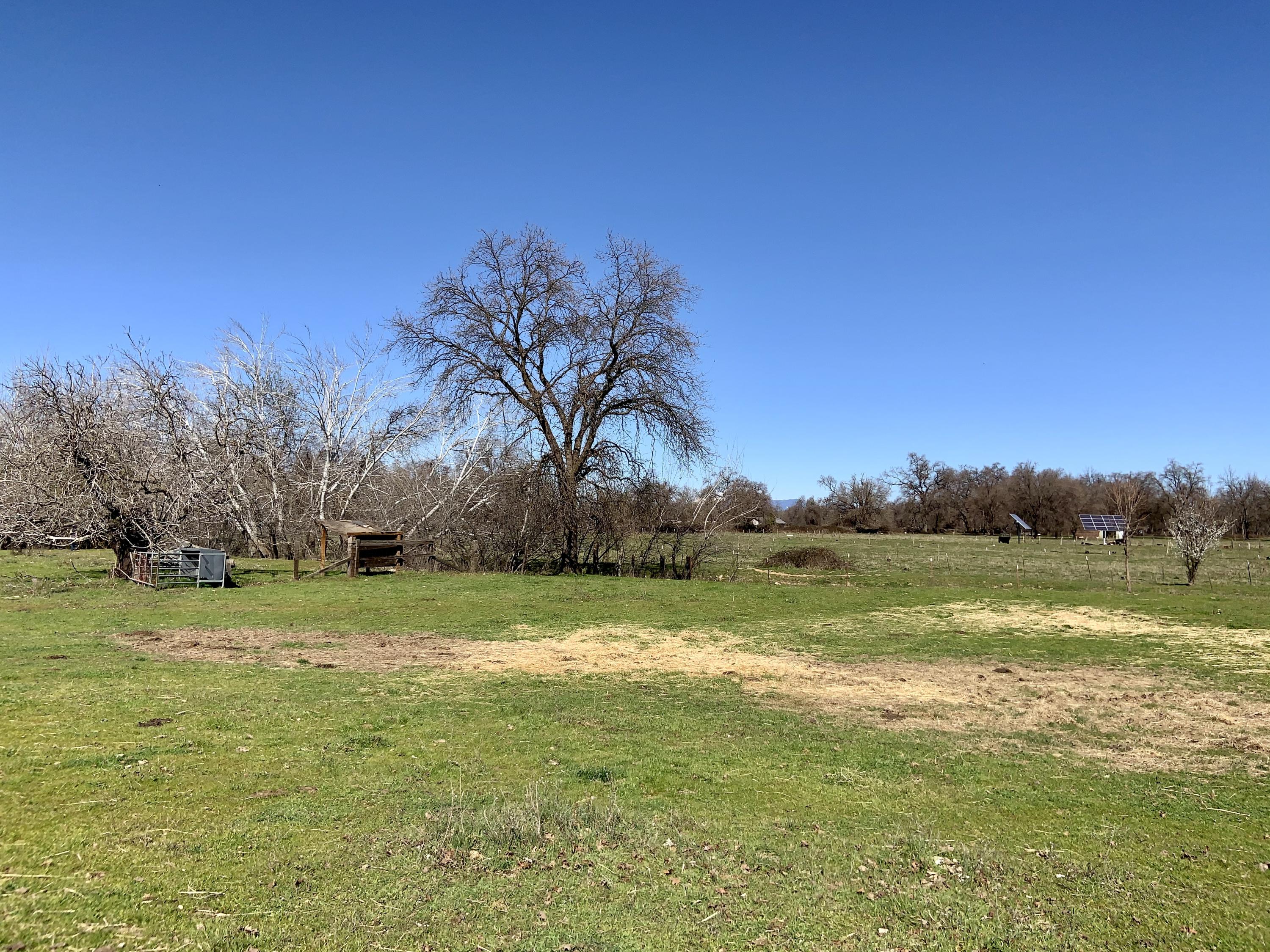 2487 Balls Ferry Road Anderson, CA 96007 - Photo 7 of 14 2487 Balls Ferry