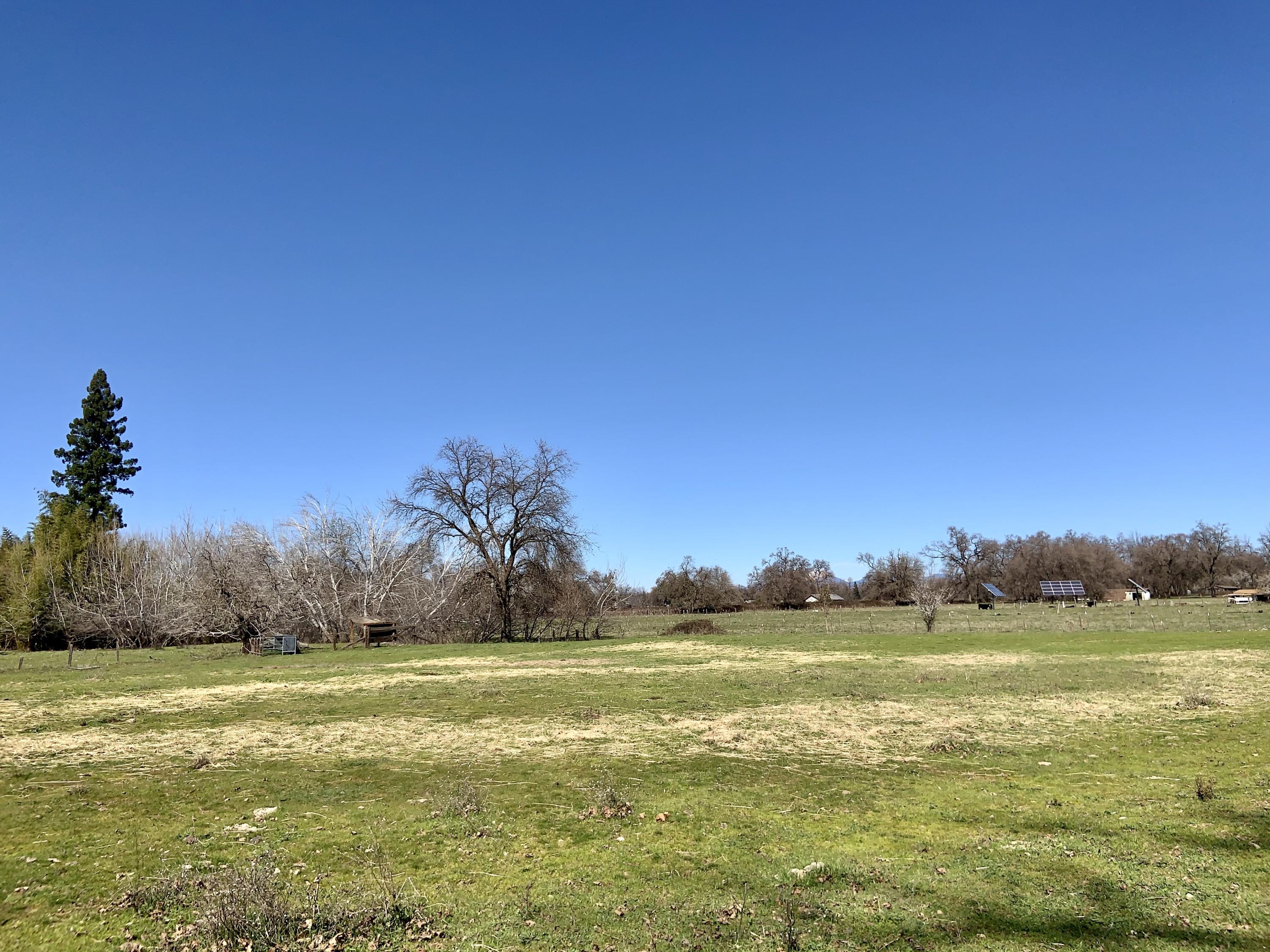 2487 Balls Ferry Road Anderson, CA 96007 - Photo 8 of 14 2487 Balls Ferry