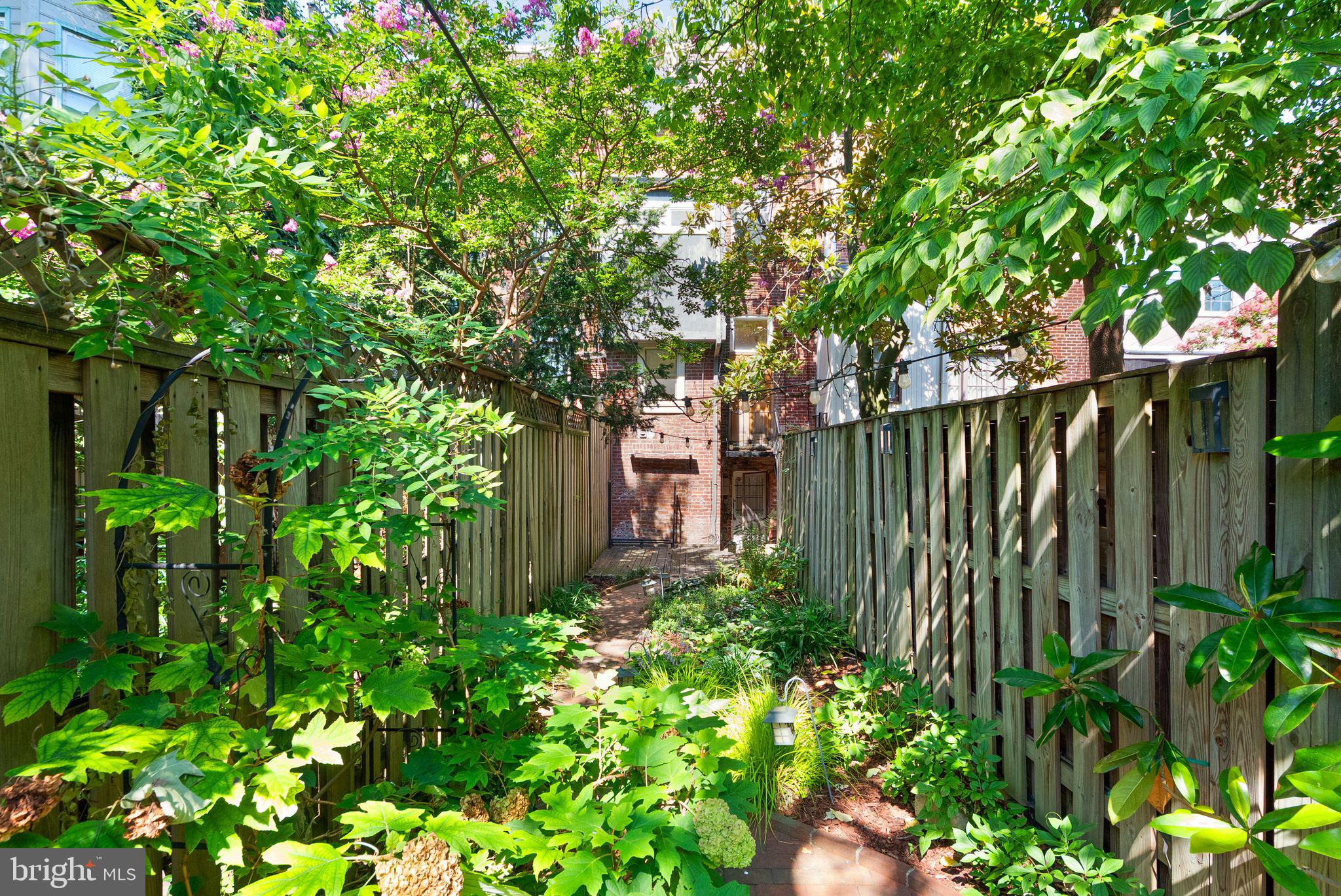 210 4th Street Southeast Washington, DC 20003 - Photo 45 of 71