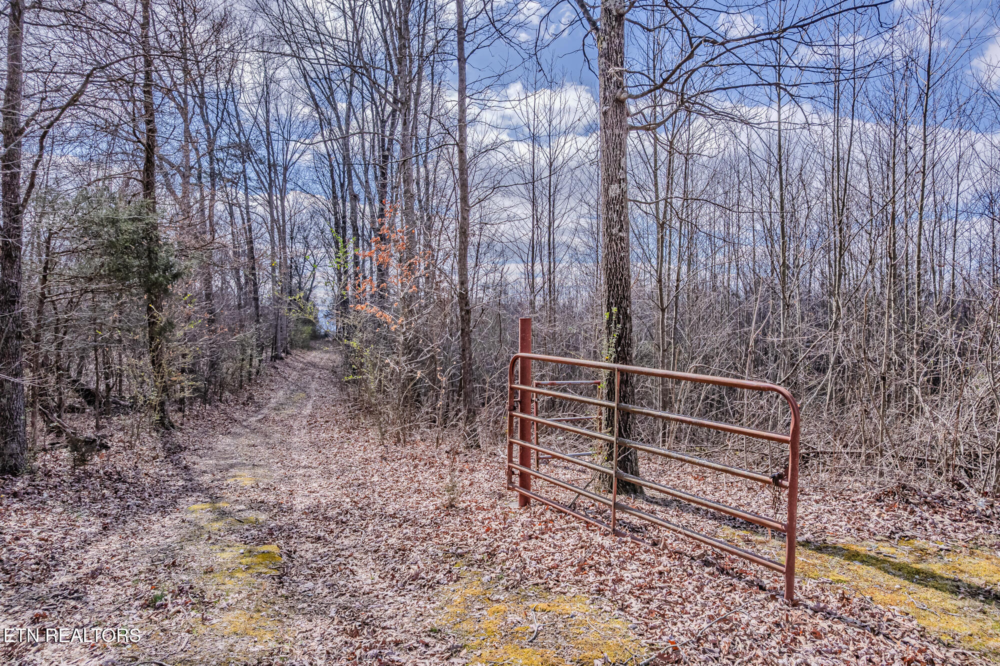 210 Linsdale Road Delano, TN 37325 - Photo 24 of 35 210 Linsdale rd-33