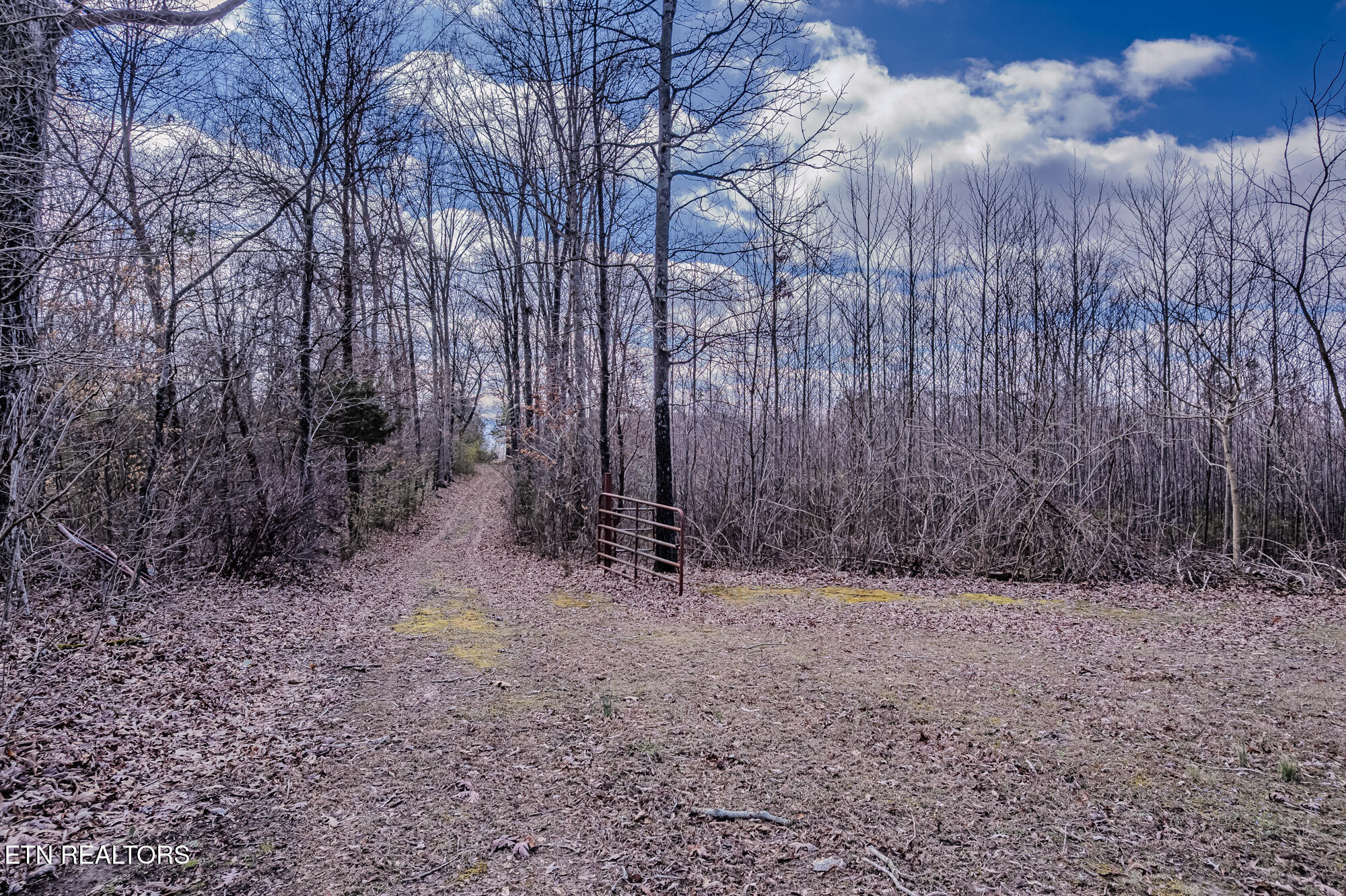 210 Linsdale Road Delano, TN 37325 - Photo 25 of 35 210 Linsdale rd-28