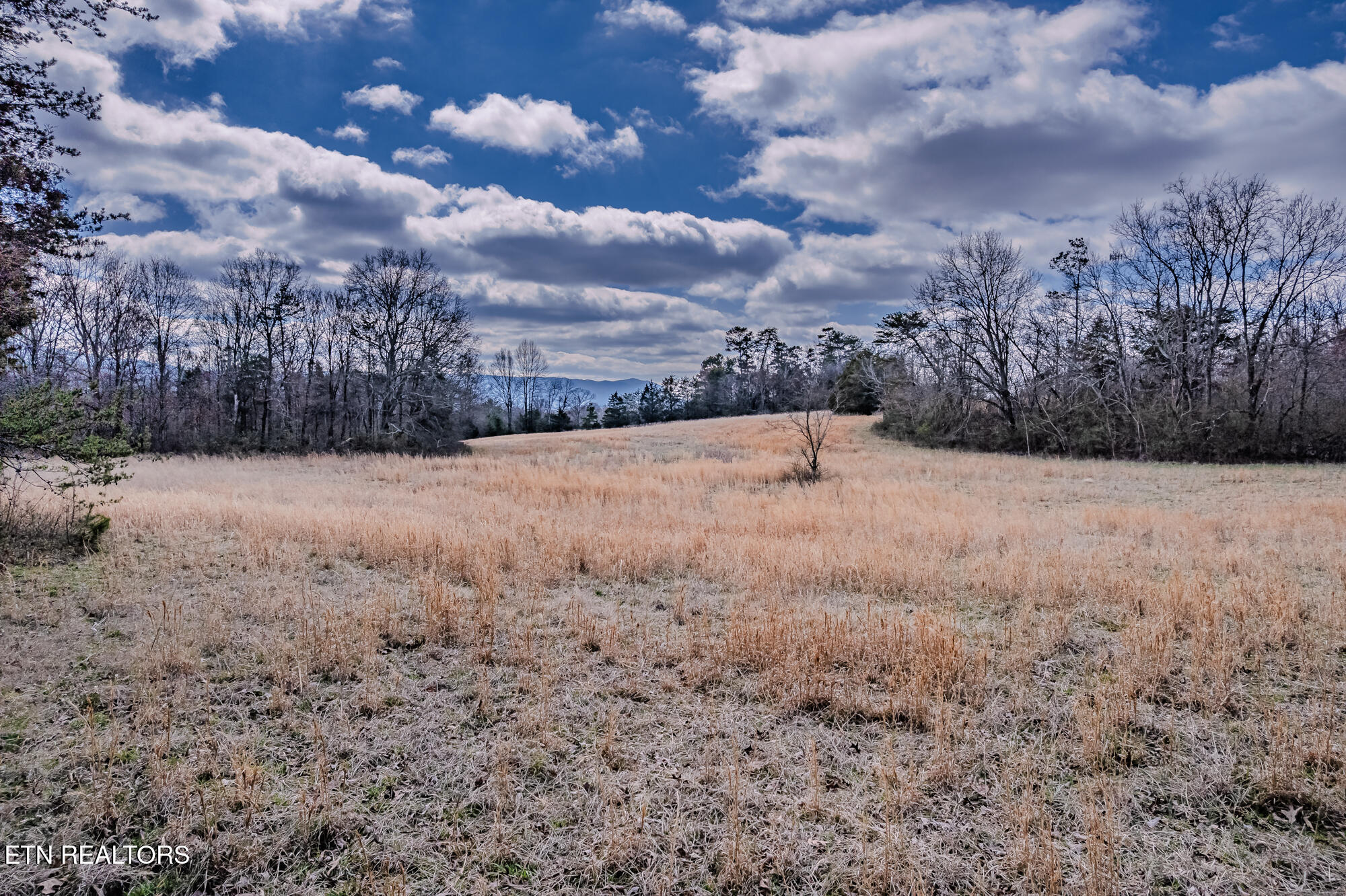 210 Linsdale Road Delano, TN 37325 - Photo 26 of 35 210 Linsdale rd-30