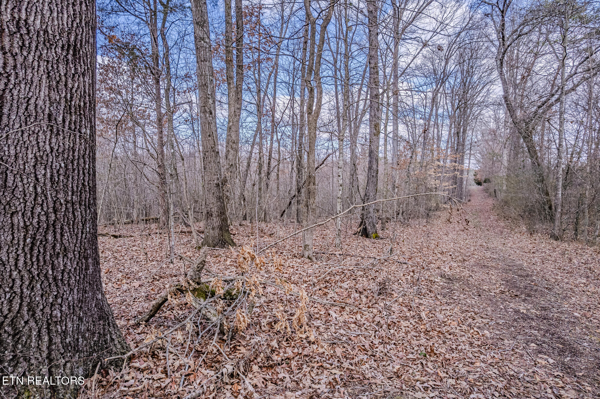 210 Linsdale Road Delano, TN 37325 - Photo 32 of 35 210 Linsdale rd-29