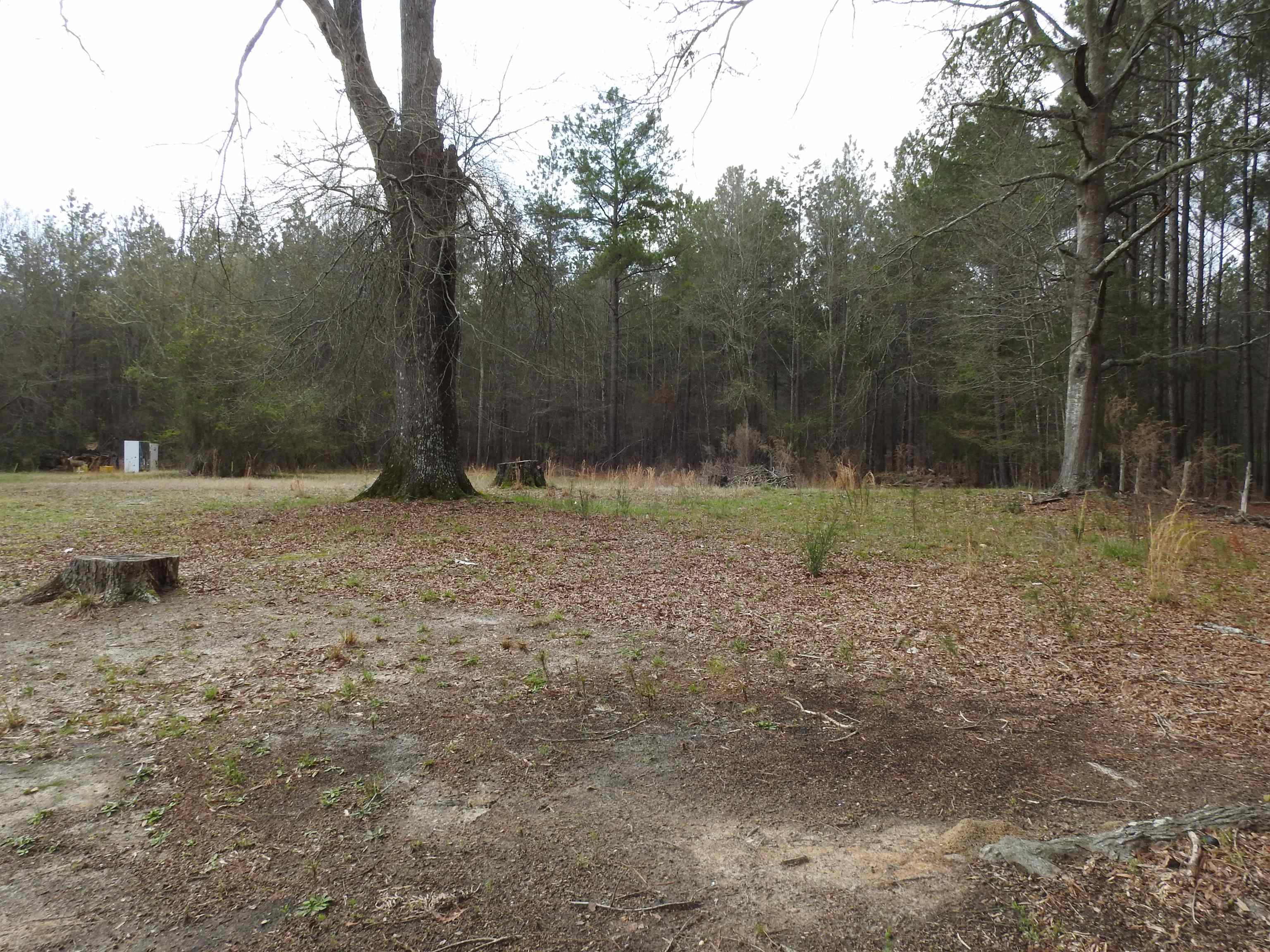 1136 Old Buncombe Road Union, SC 29379 - Photo 23 of 24 Gallery Image 23