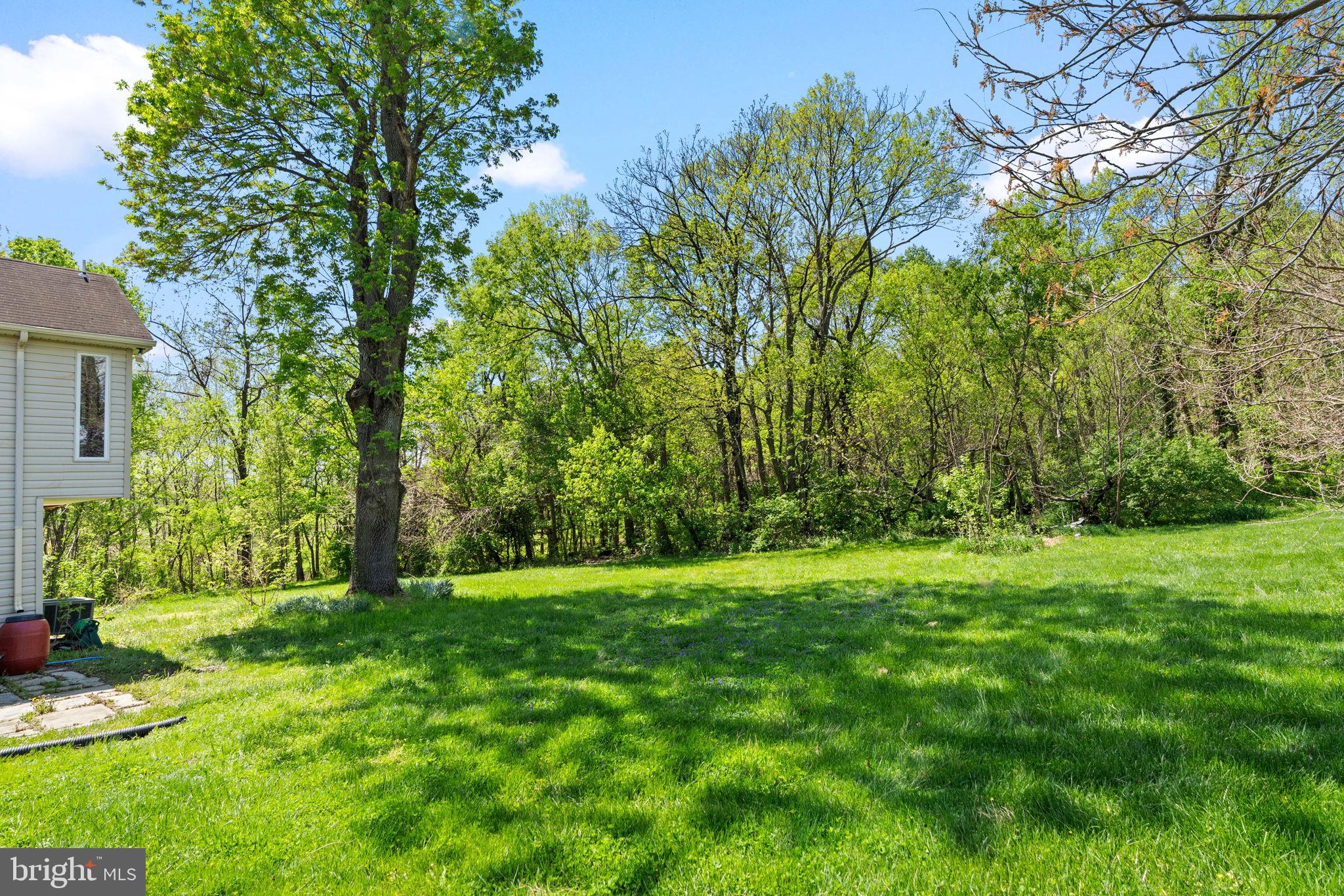 5002 Burkittsville Road Jefferson, MD 21755 - Photo 40 of 40 Lush green landscape with serene woods.