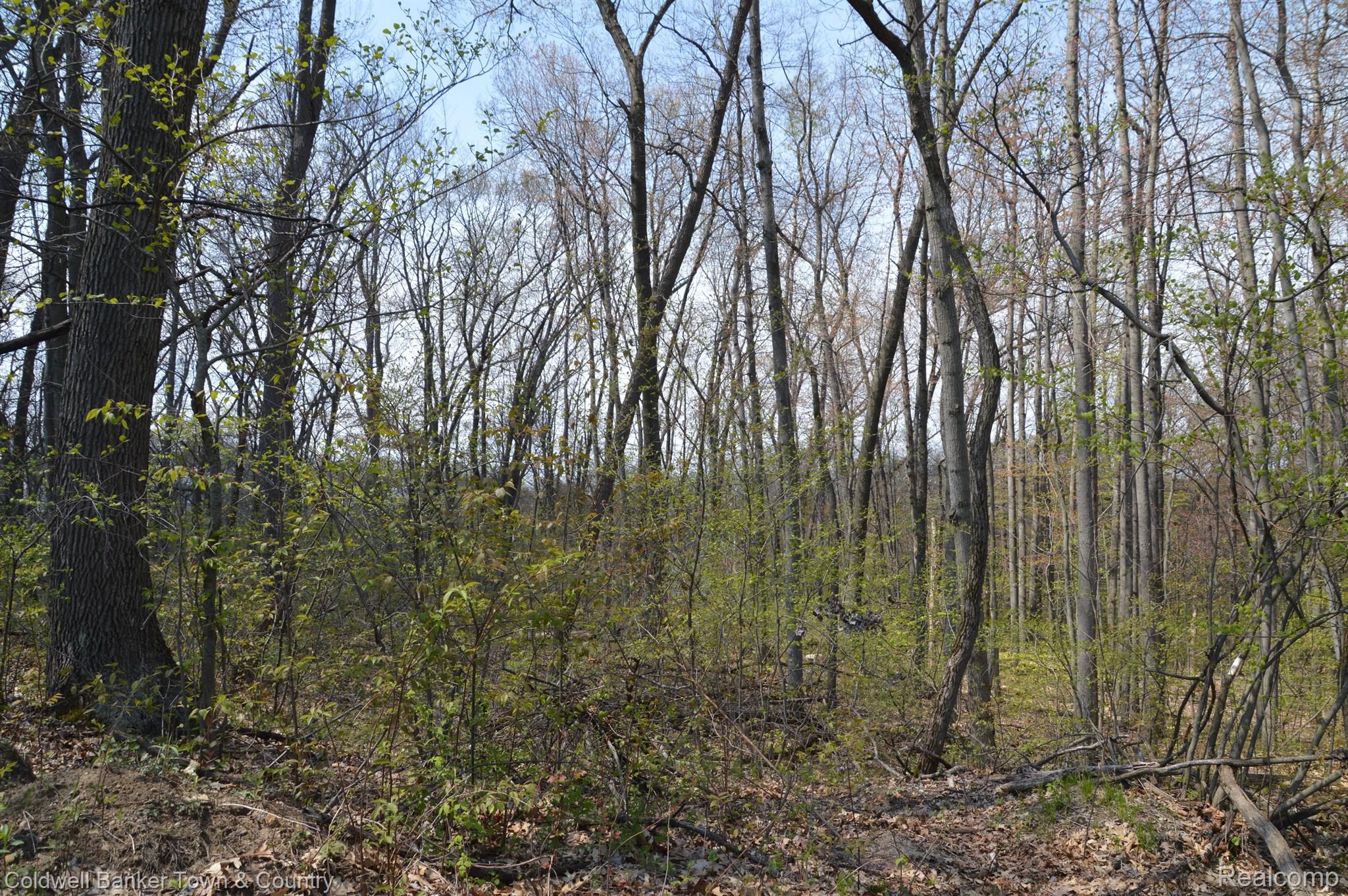16240 Catalpa Ridge Holly, MI 48442 - Photo 25 of 25 Gallery Image 25