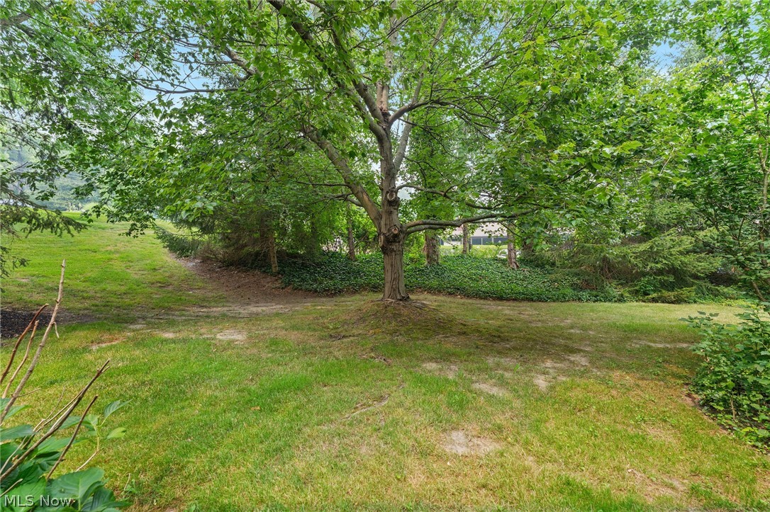 5741 Som Center Road, Unit 1 Solon, OH 44139 - Photo 44 of 50 Expansive green lawn surrounded by mature trees and varied foliage