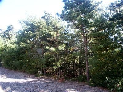 10 Shellback Way, Unit B Mashpee, MA 02649 - Photo 6 of 13 Additional Photo