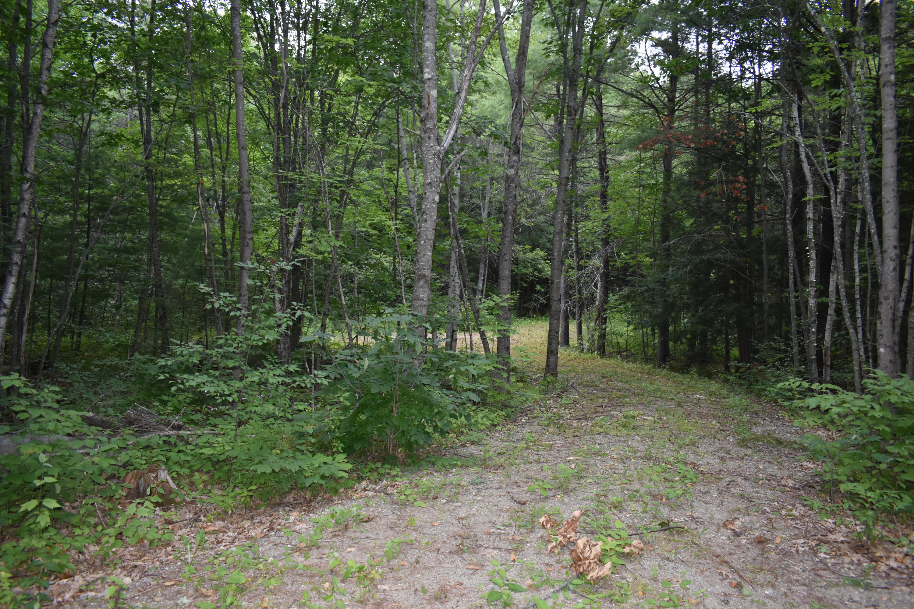 65 Berry Road Monmouth, ME 04259 - Photo 2 of 2 DSC_0239