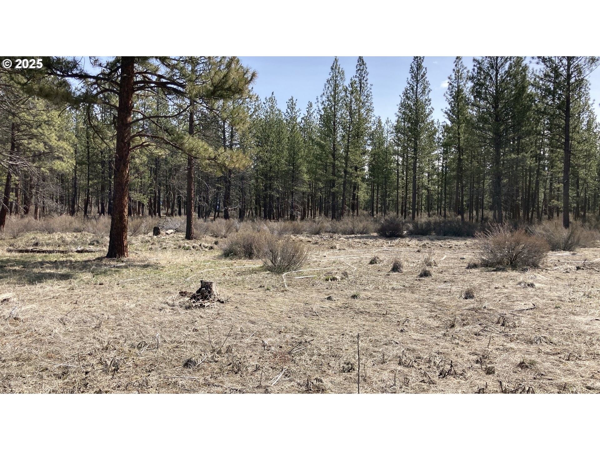 34630 Sprague River Road Sprague River, OR 97639 - Photo 15 of 21 Gallery Image 15