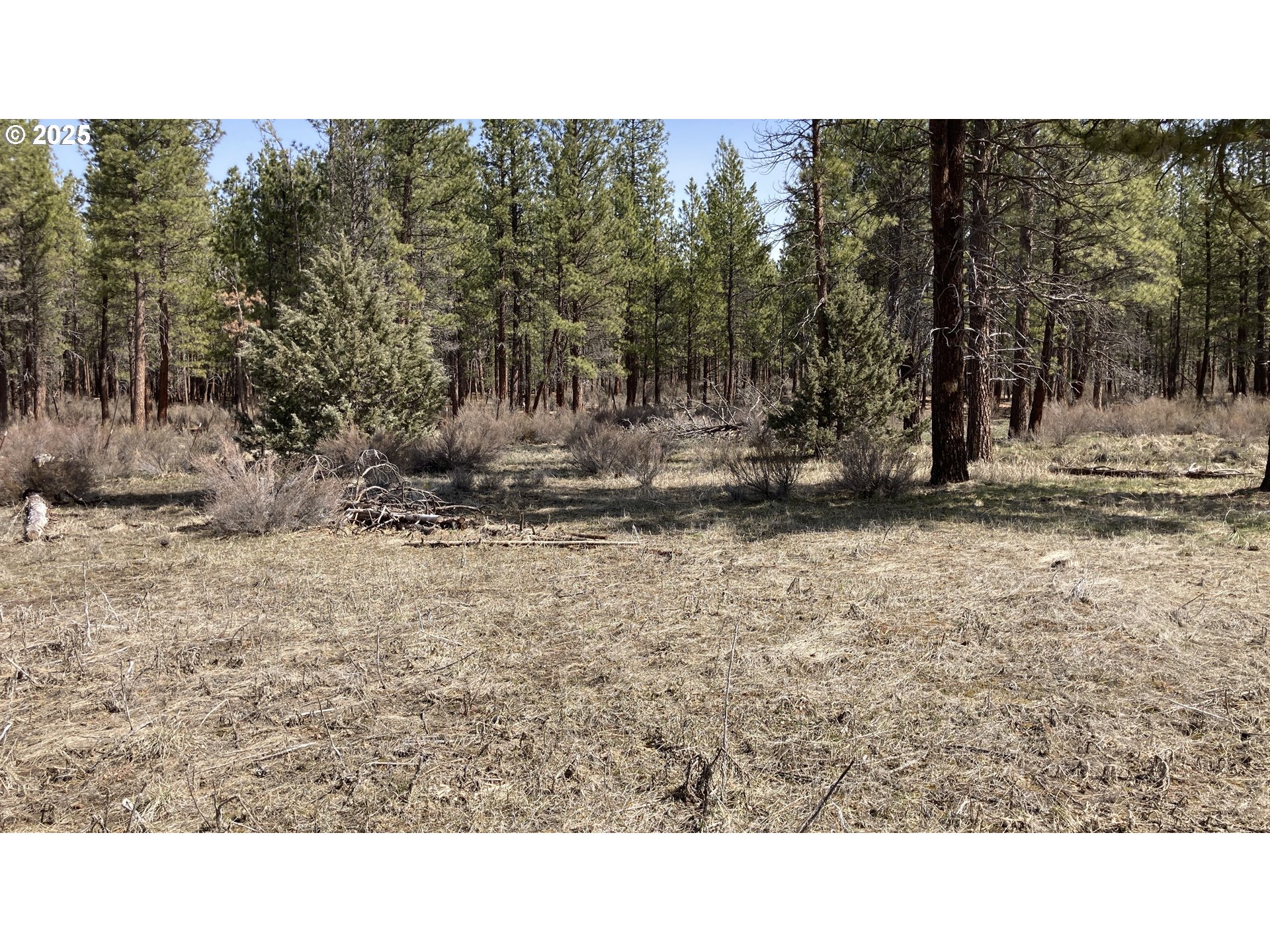 34630 Sprague River Road Sprague River, OR 97639 - Photo 16 of 21 Gallery Image 16