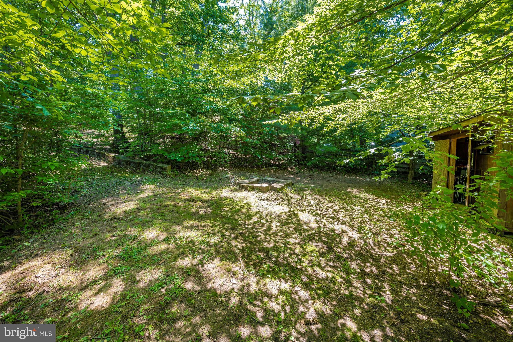 1739 Brookshire Run Point of Rocks, MD 21777 - Photo 5 of 71 Private wooded backyard