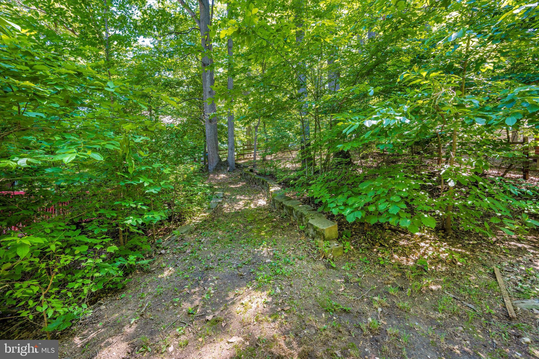 1739 Brookshire Run Point of Rocks, MD 21777 - Photo 61 of 71