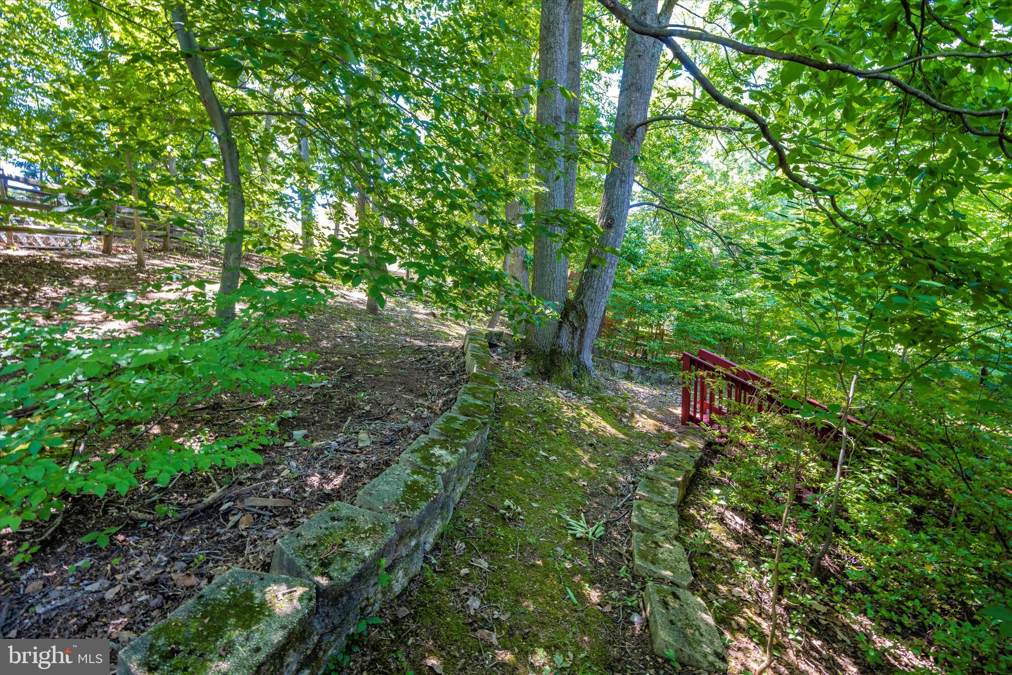1739 Brookshire Run Point of Rocks, MD 21777 - Photo 62 of 71