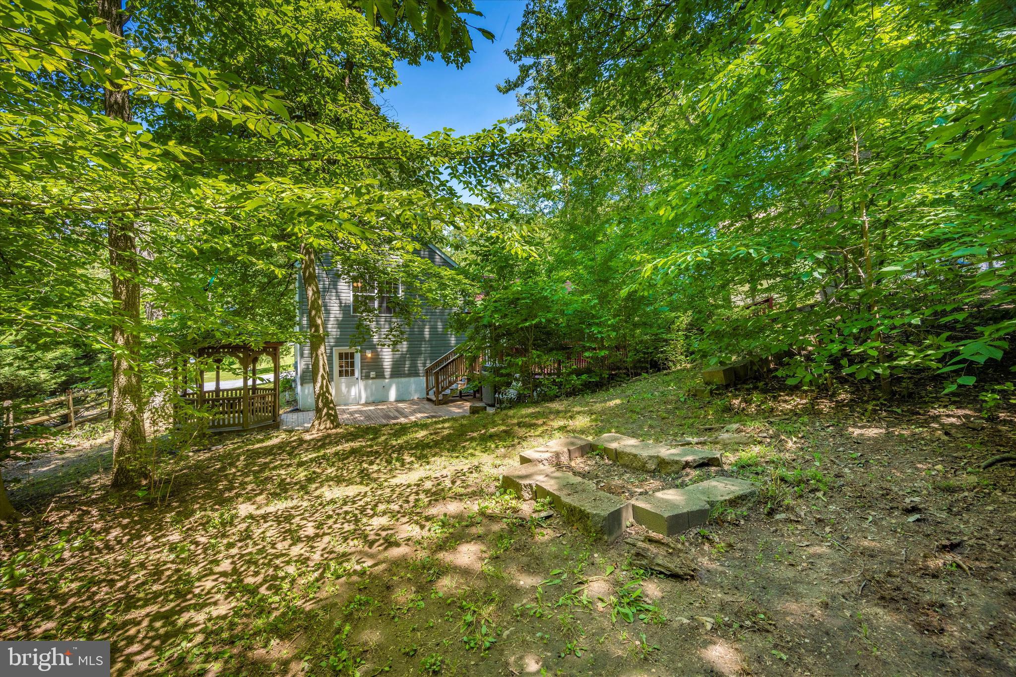 1739 Brookshire Run Point of Rocks, MD 21777 - Photo 64 of 71
