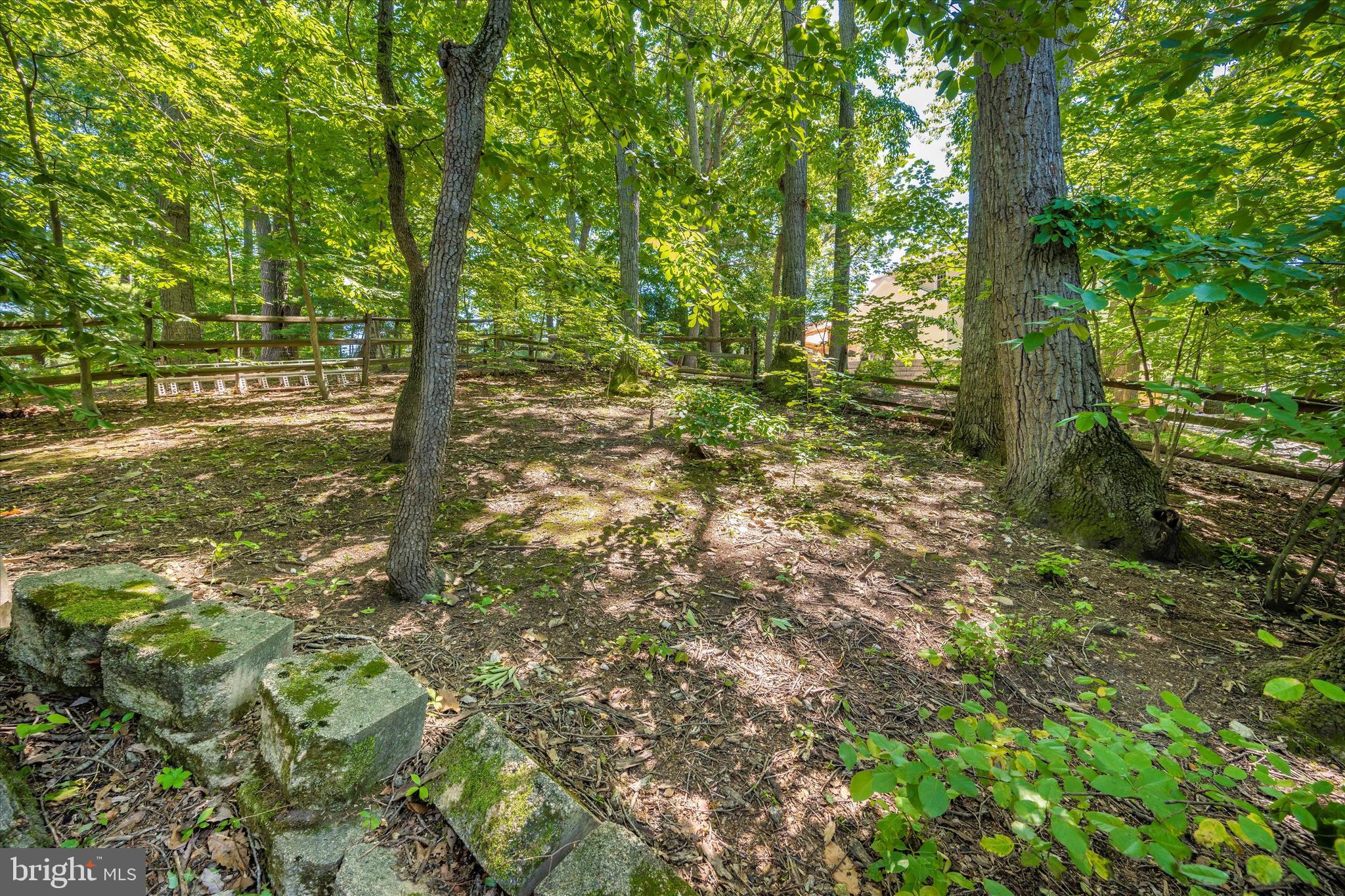 1739 Brookshire Run Point of Rocks, MD 21777 - Photo 65 of 71