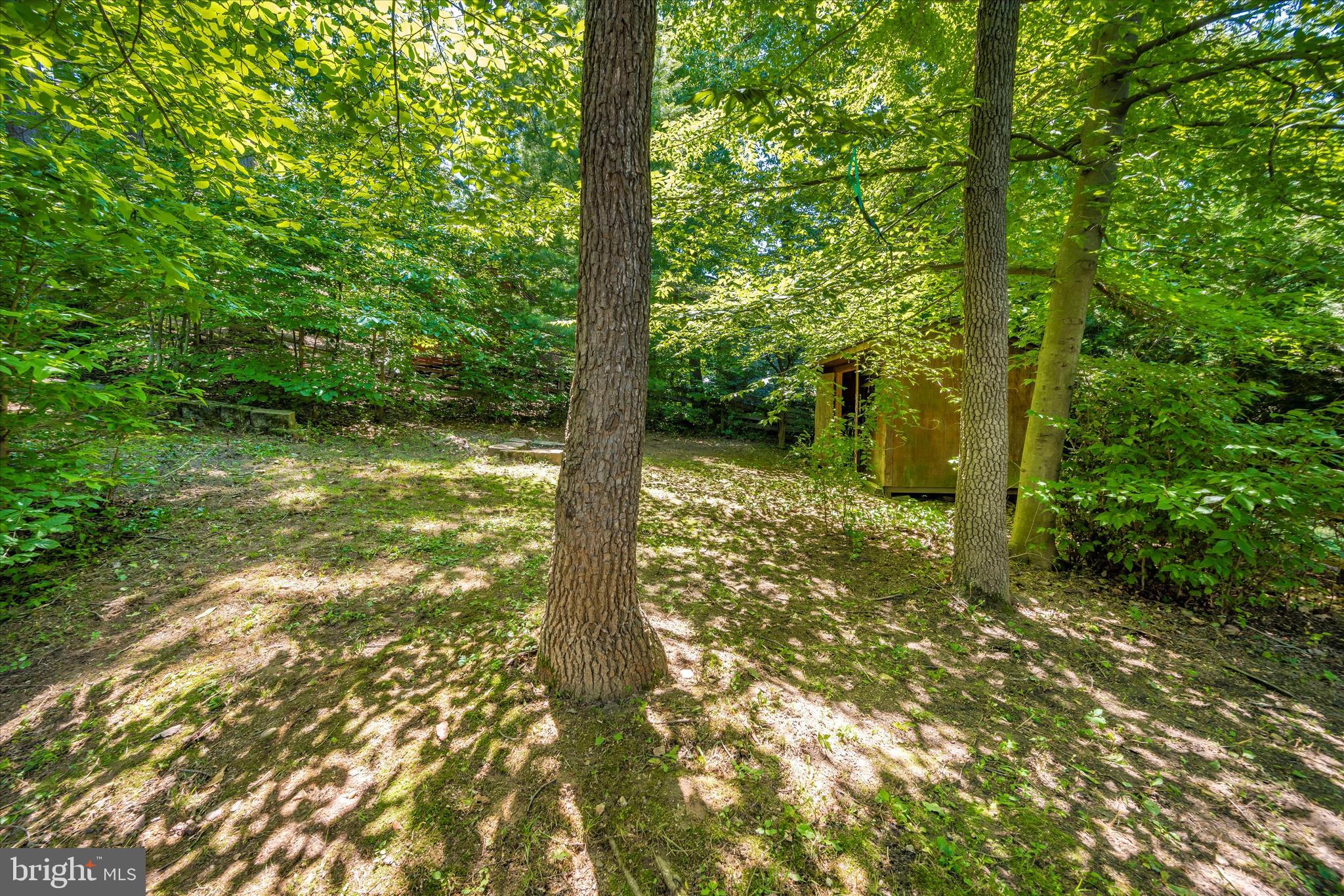 1739 Brookshire Run Point of Rocks, MD 21777 - Photo 66 of 71