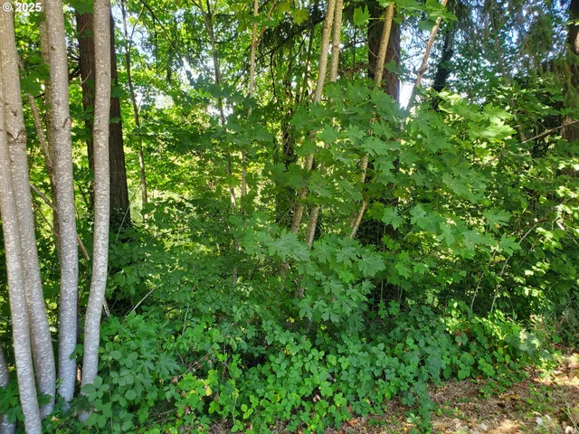 $499,900 | 1006 Mountain View Road, Sweet Home, OR 97386