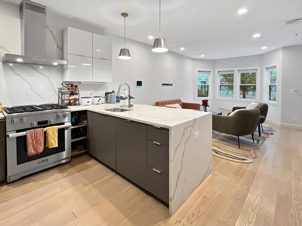 54-58 Robey Street, Unit 56 Boston, MA 02119 - Photo 10 of 33