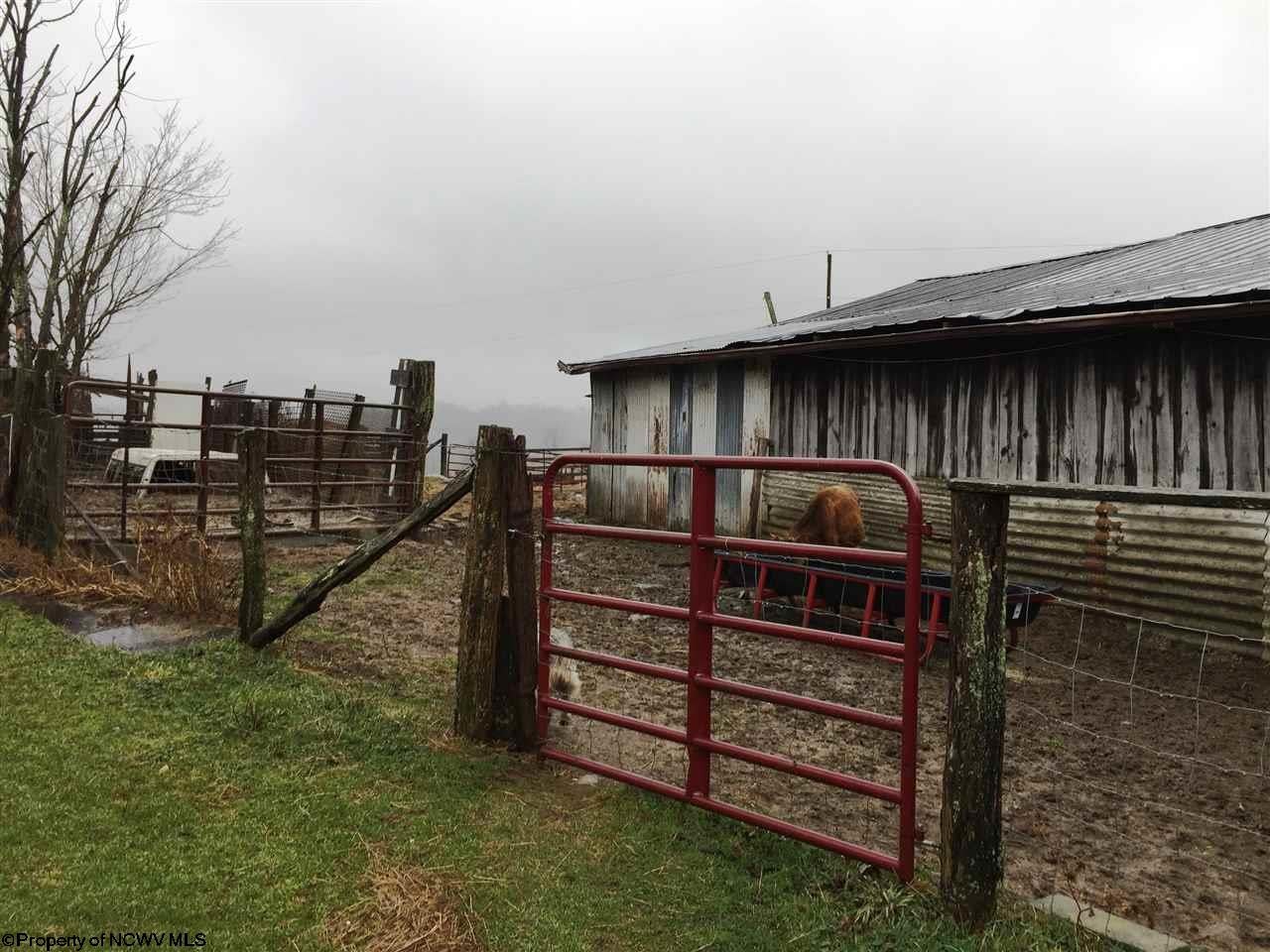 12998 Dry Fork Road Hendricks, WV 26271 - Photo 17 of 17 Gallery Image 17