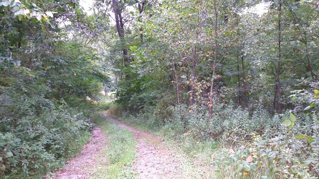 166 County Road Auxvasse, MO 65231 - Photo 2 of 27