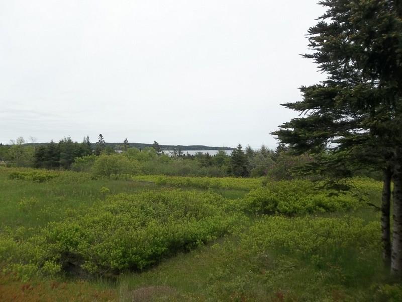 M5-l6 Ridge Road Cutler, ME 04626 - Photo 9 of 12 Photo