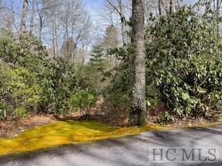 Tbd Tbd Knob Creek Road Cullowhee, NC 28723 - Photo 8 of 9 Gallery Image 8